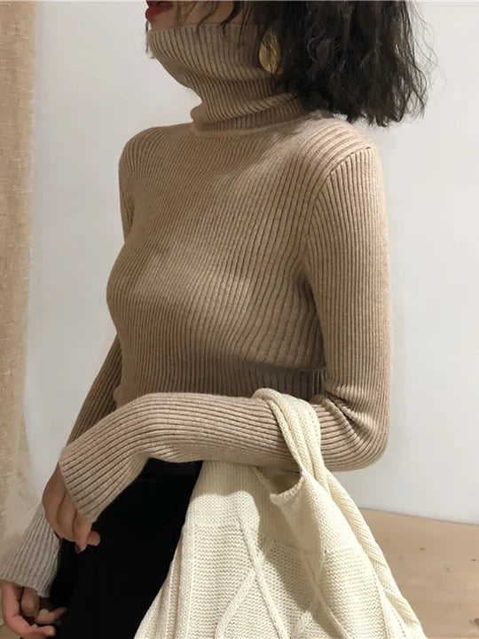 Serena Ribbed Turtleneck