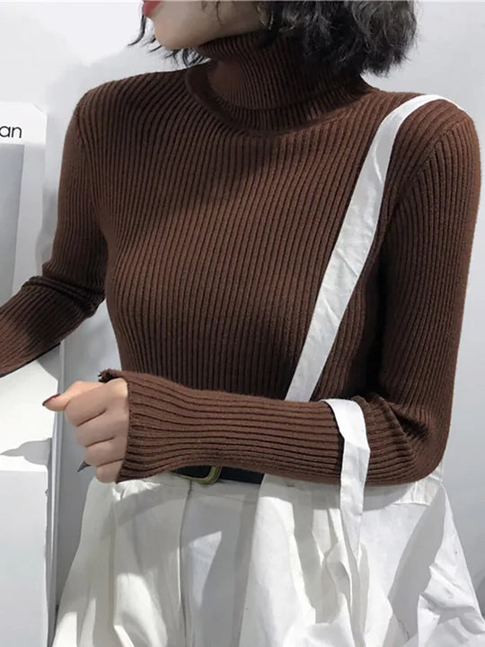 Serena Ribbed Turtleneck