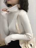 Serena Ribbed Turtleneck